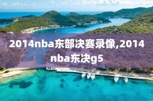 2014nba东部决赛录像,2014nba东决g5 2014nba东部决赛录像,2014nba东决g5